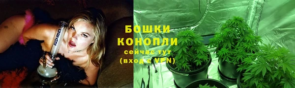 хмурый Краснослободск