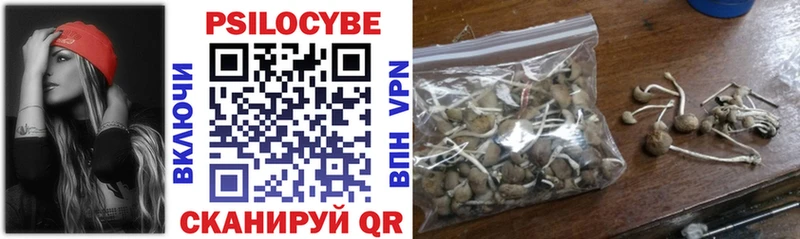 Псилоцибиновые грибы мицелий  Купить  Звенигород 